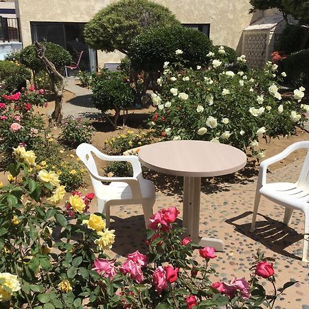 Americas Best Value Inn And Suites -Yucca Valley Esterno foto