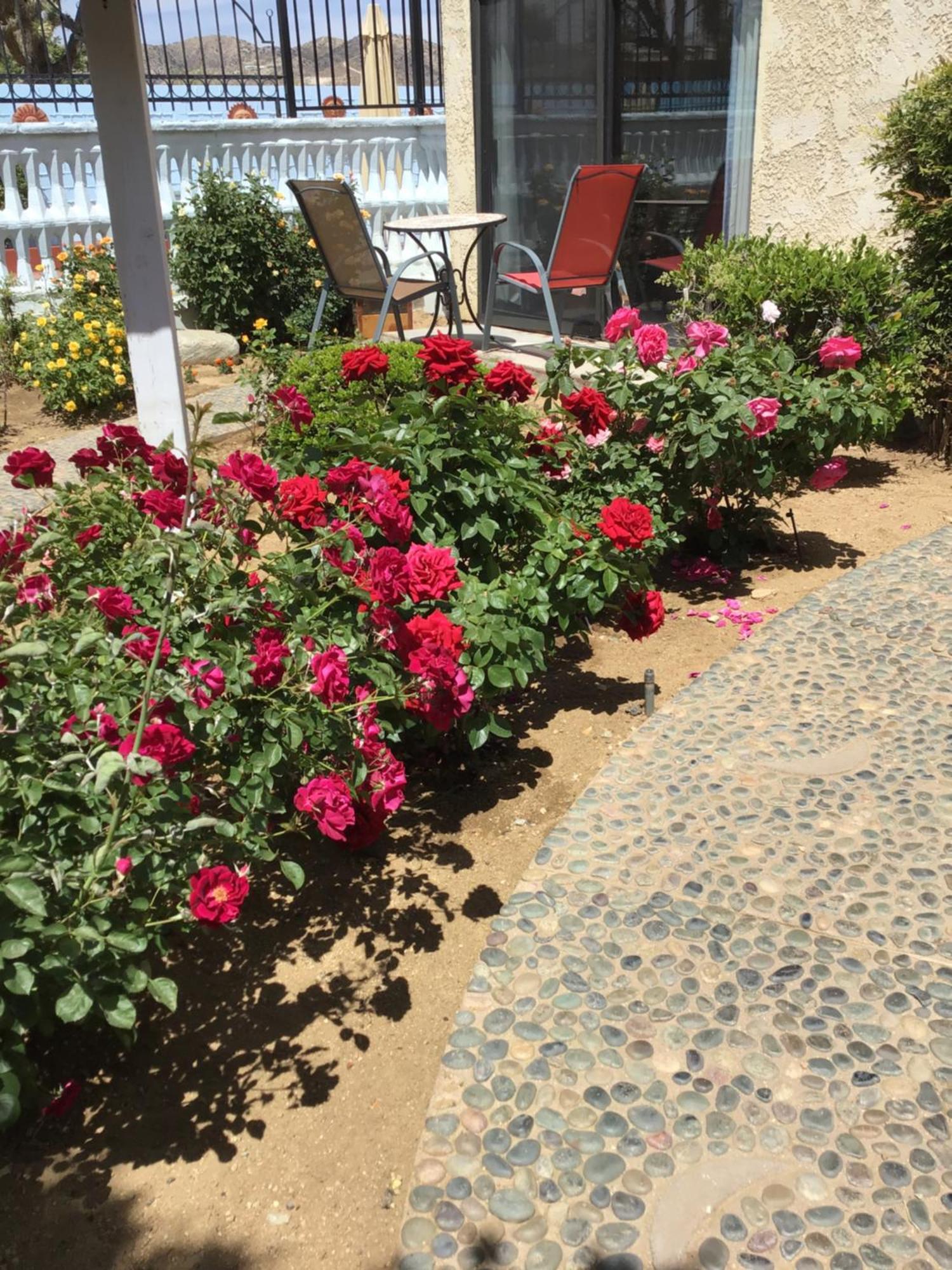 Americas Best Value Inn And Suites -Yucca Valley Esterno foto