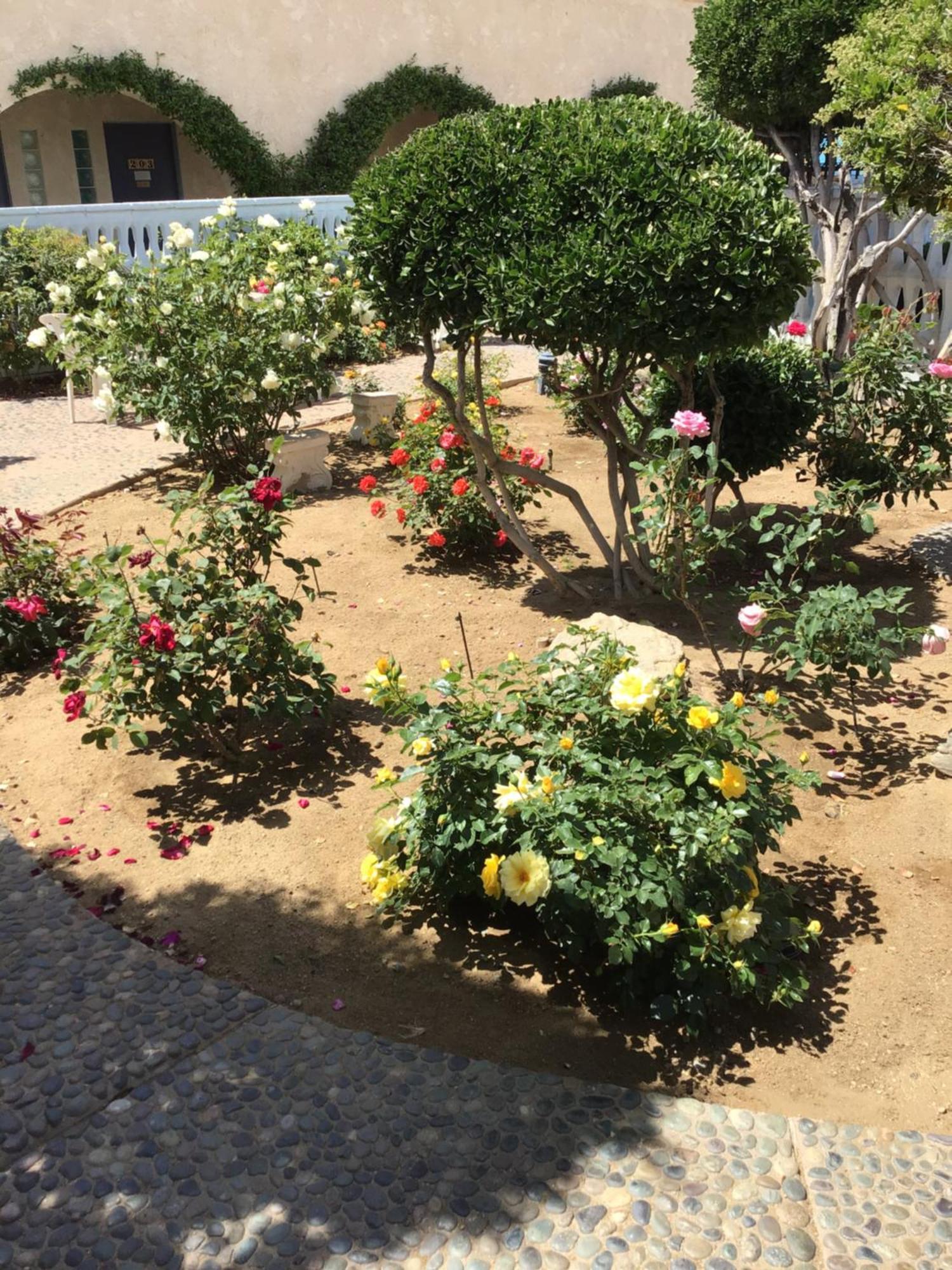 Americas Best Value Inn And Suites -Yucca Valley Esterno foto