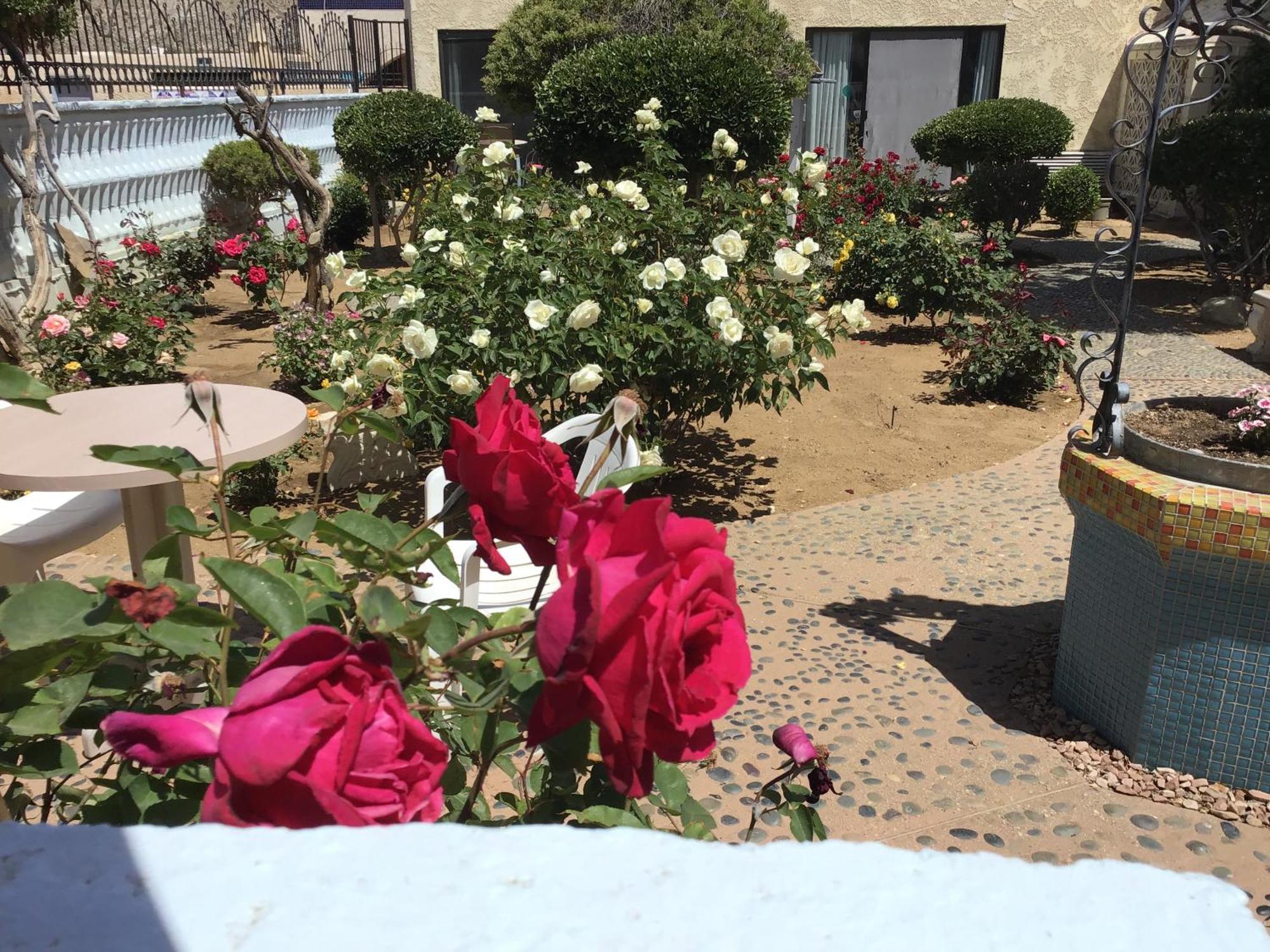 Americas Best Value Inn And Suites -Yucca Valley Esterno foto