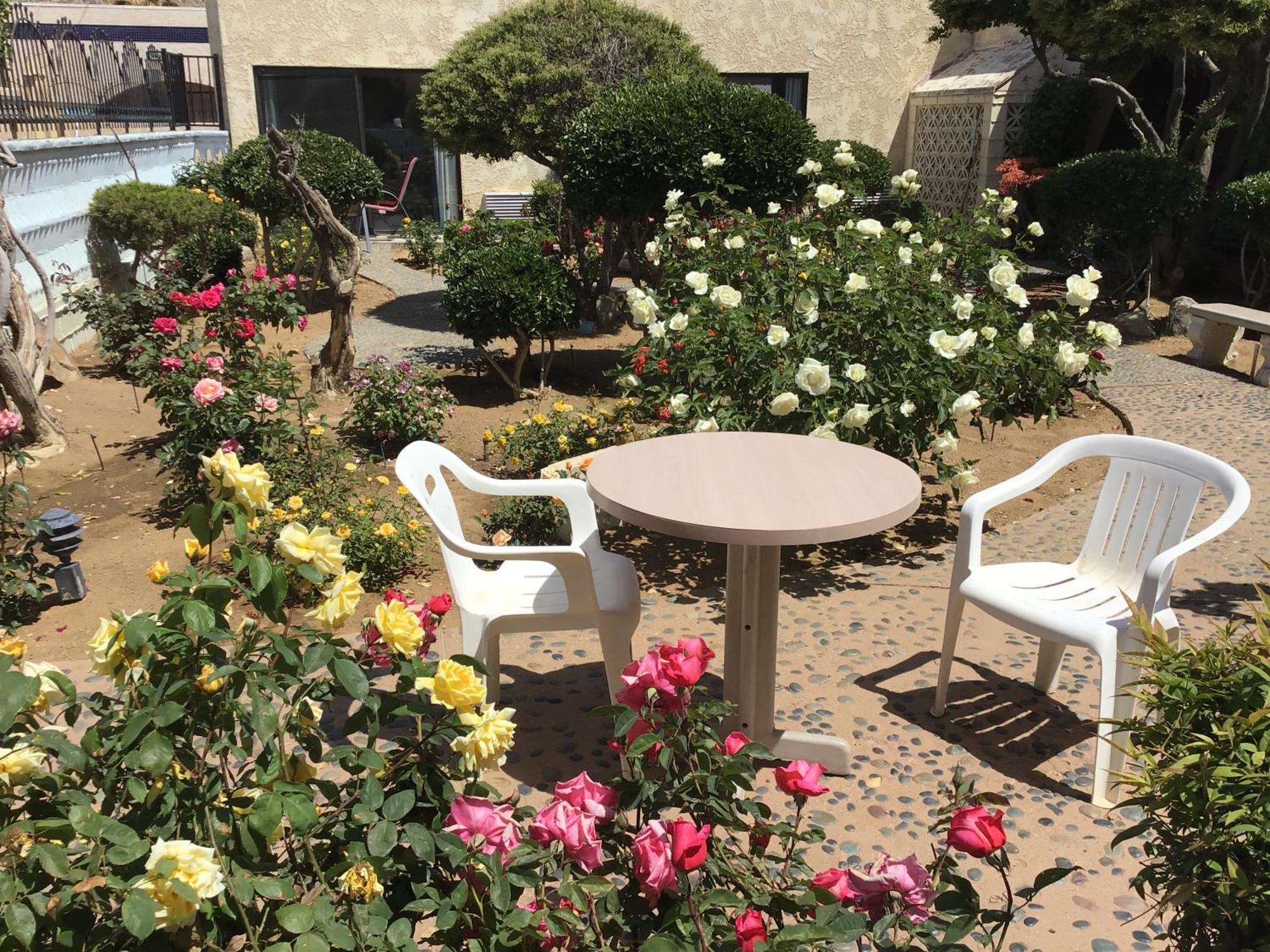 Americas Best Value Inn And Suites -Yucca Valley Esterno foto